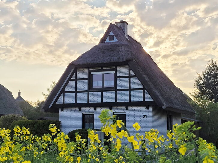 Reetdachhaus in Goos