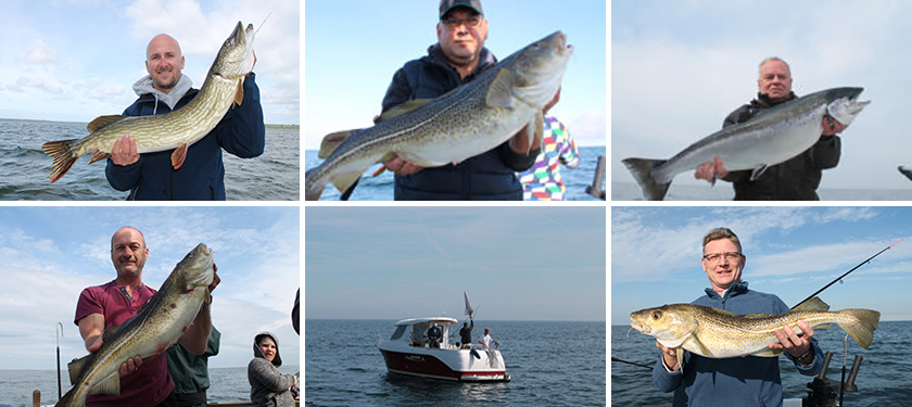 Angeln und Fischen auf Rügen
